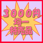 3000円